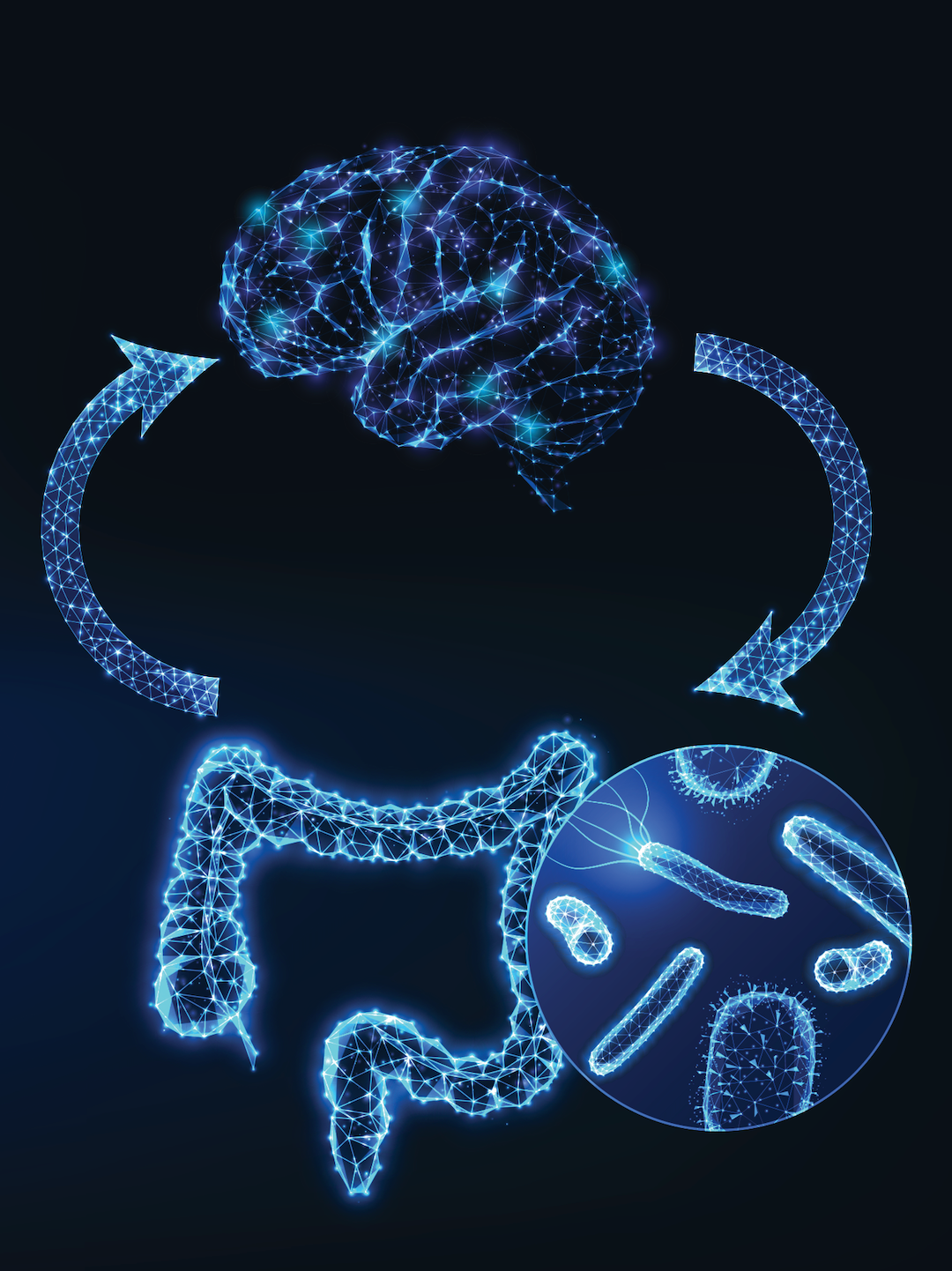 The Oral Gut Microbiome Axis: How Mouth Bacteria Impact Digestion, Immunity and Ageing