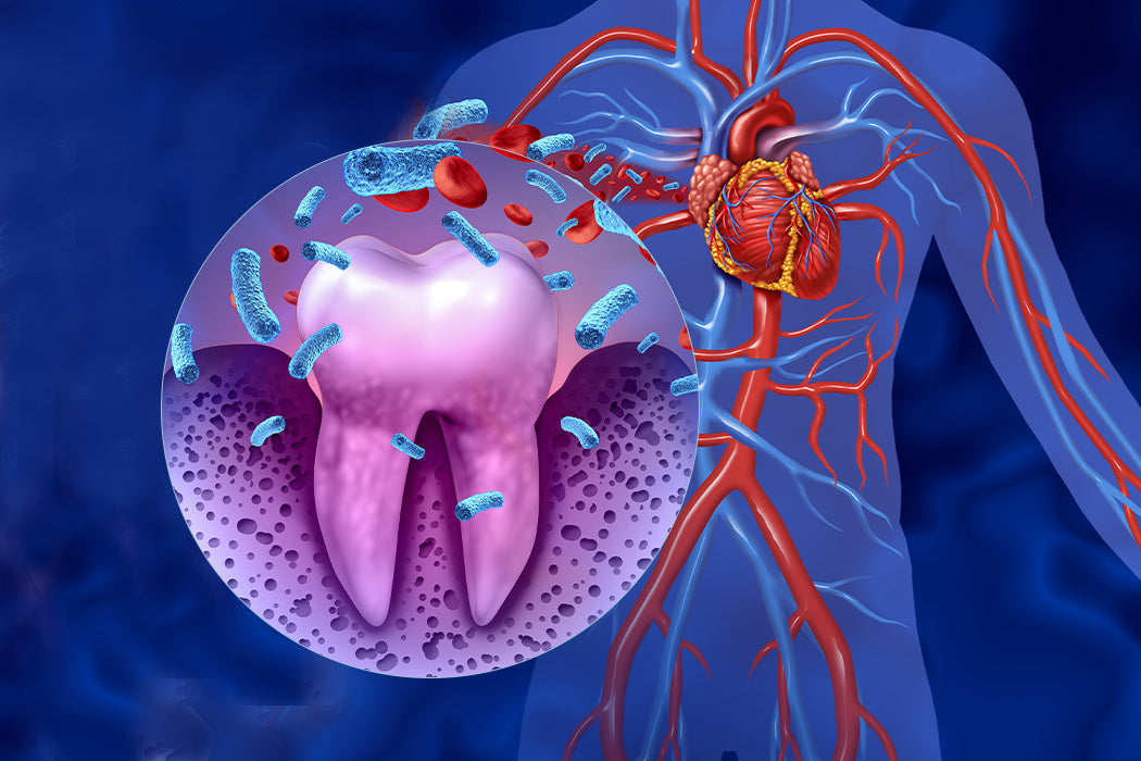 The Hidden Link Between Oral Bacteria and Heart Health