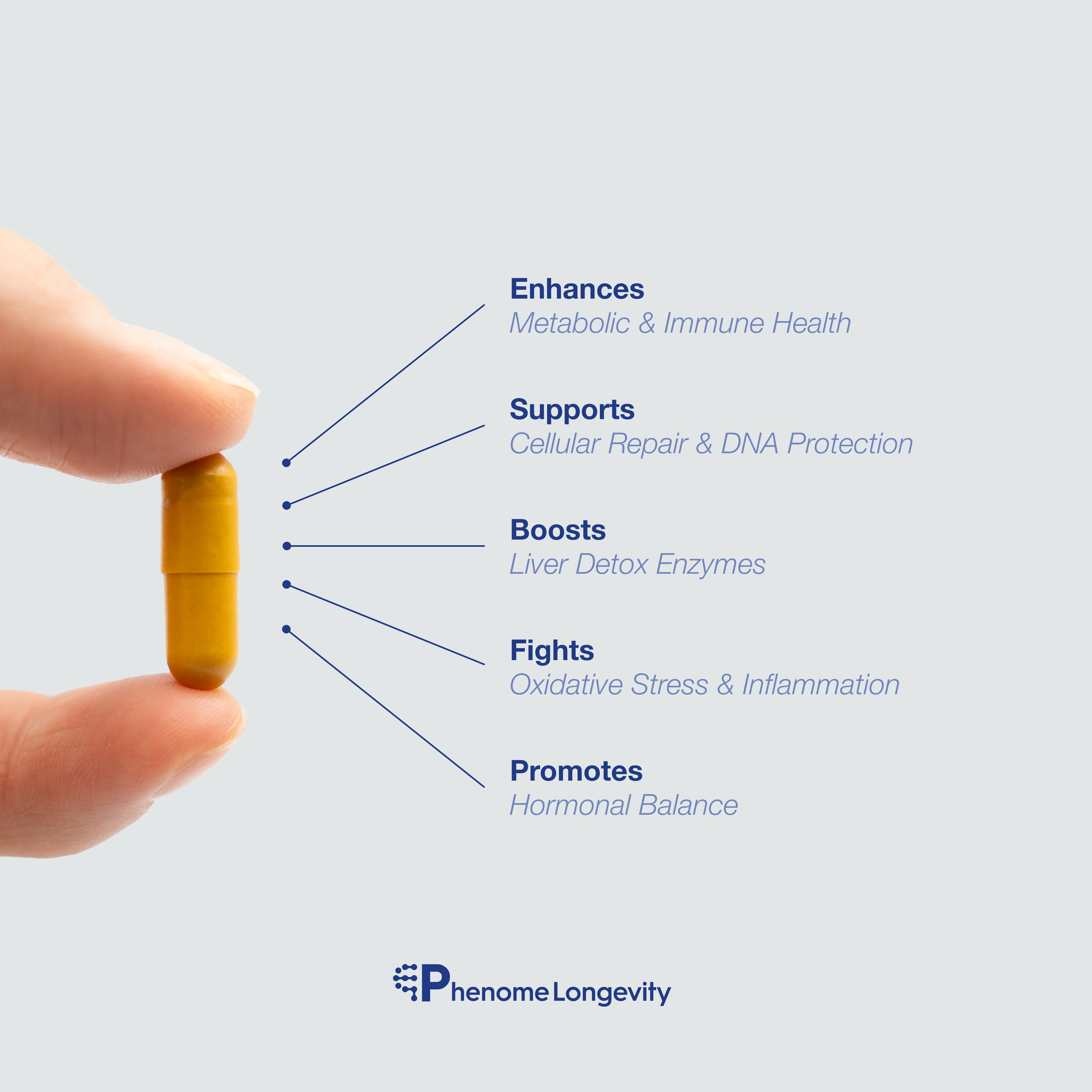 Product description of broccoli supplement