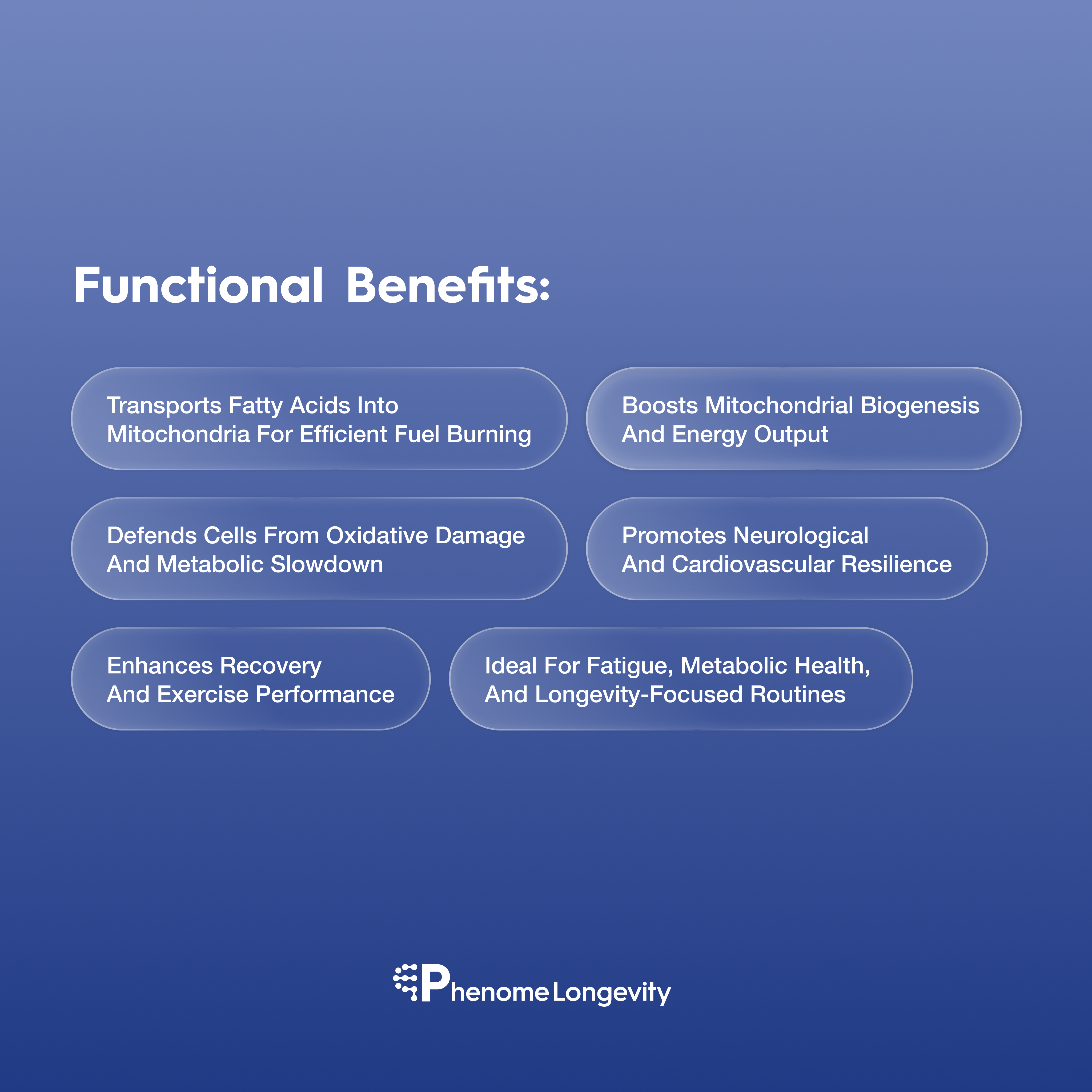 Functional benefits of Carnitine supplement
