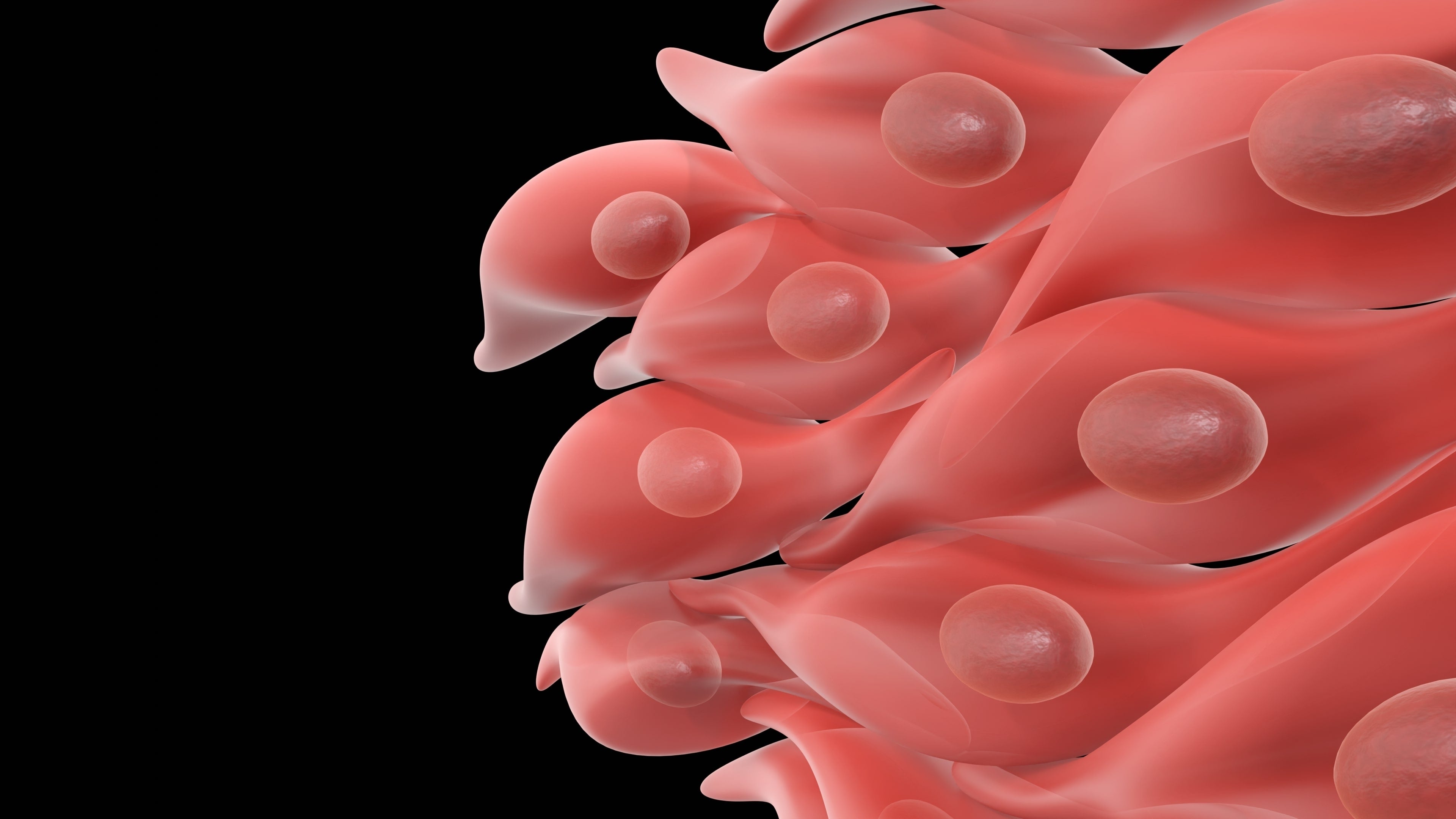 Abstract representation of muscle fibers with layered textures and flowing patterns