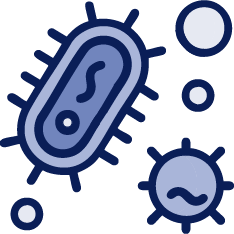 Illustration of bacteria cells with a blue outline on a white background