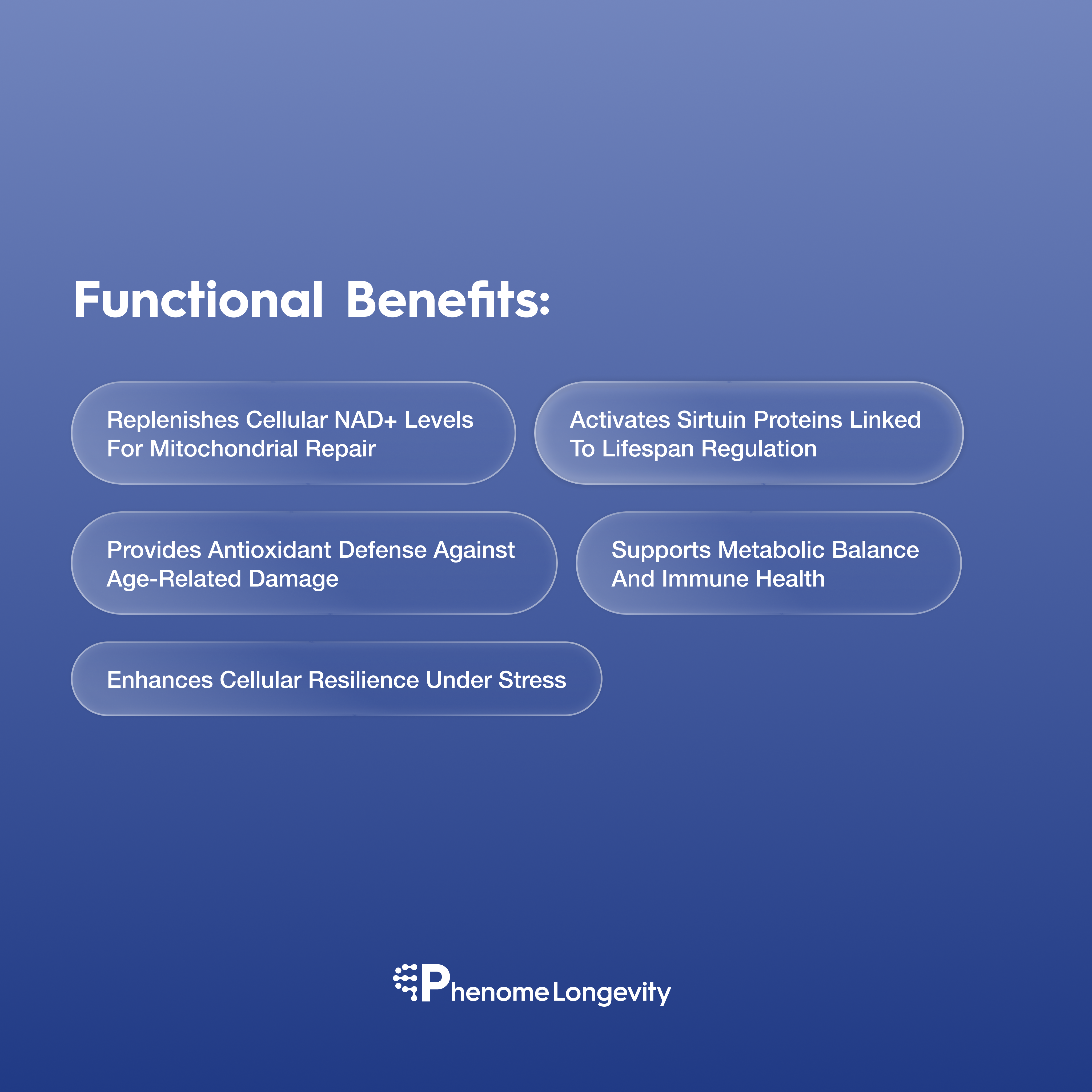 Functional benefits of NAD Resveratrol supplement