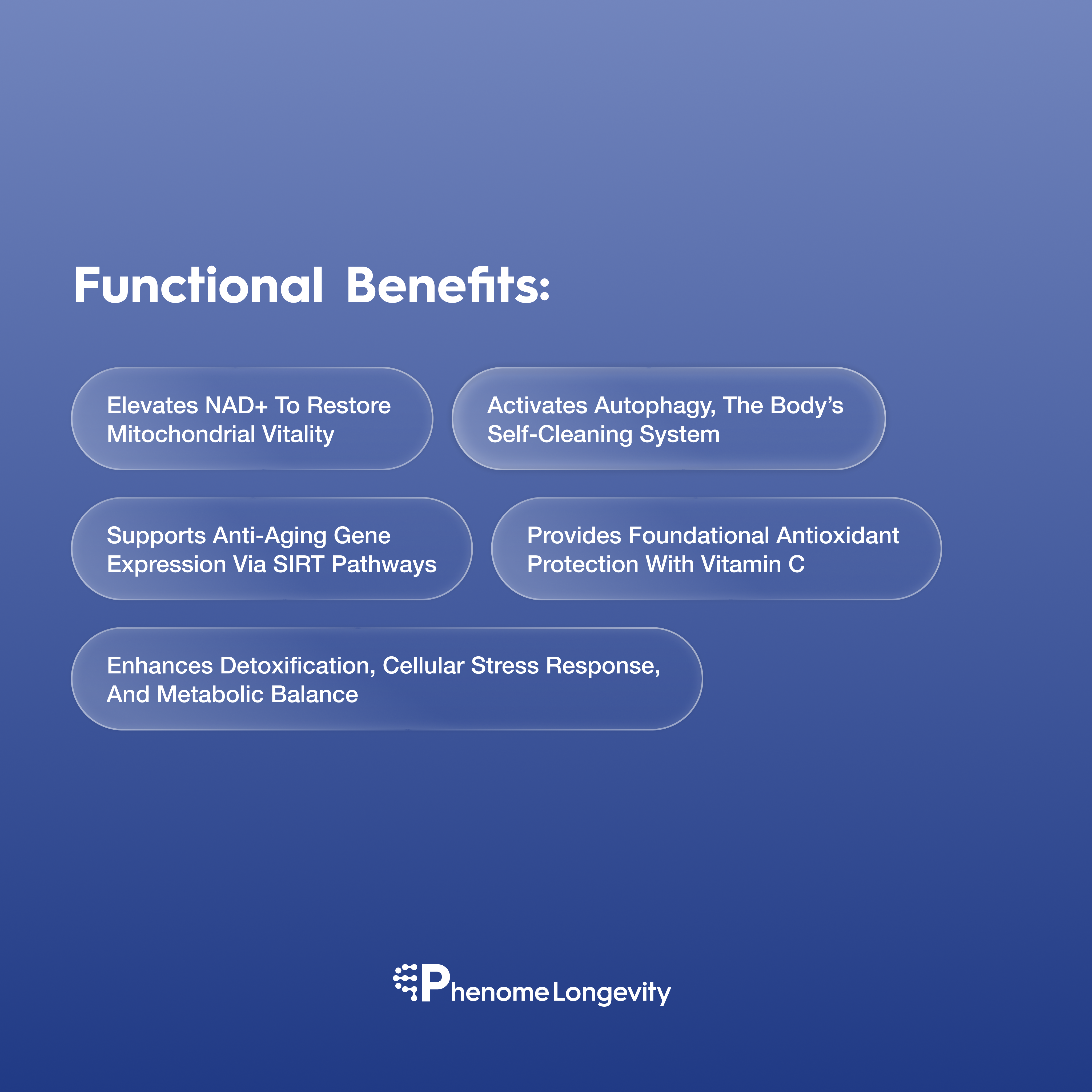 Functional benefits of NAD Spermidine supplement