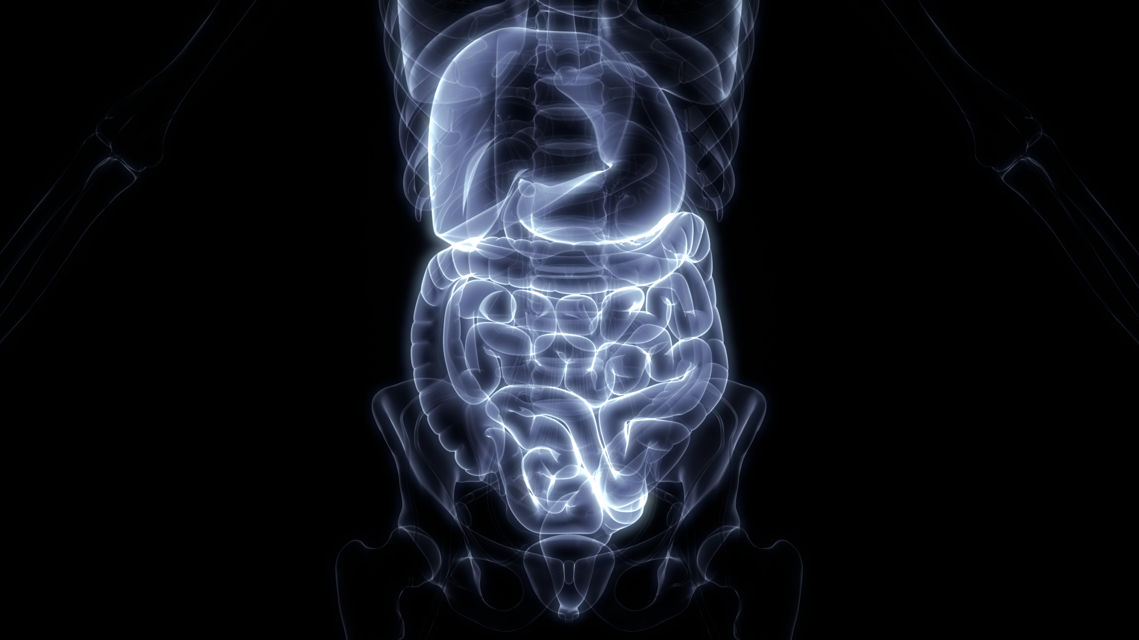 X-ray image showing the stomach, intestines, and surrounding organs illustrating the gut as a reflex organ