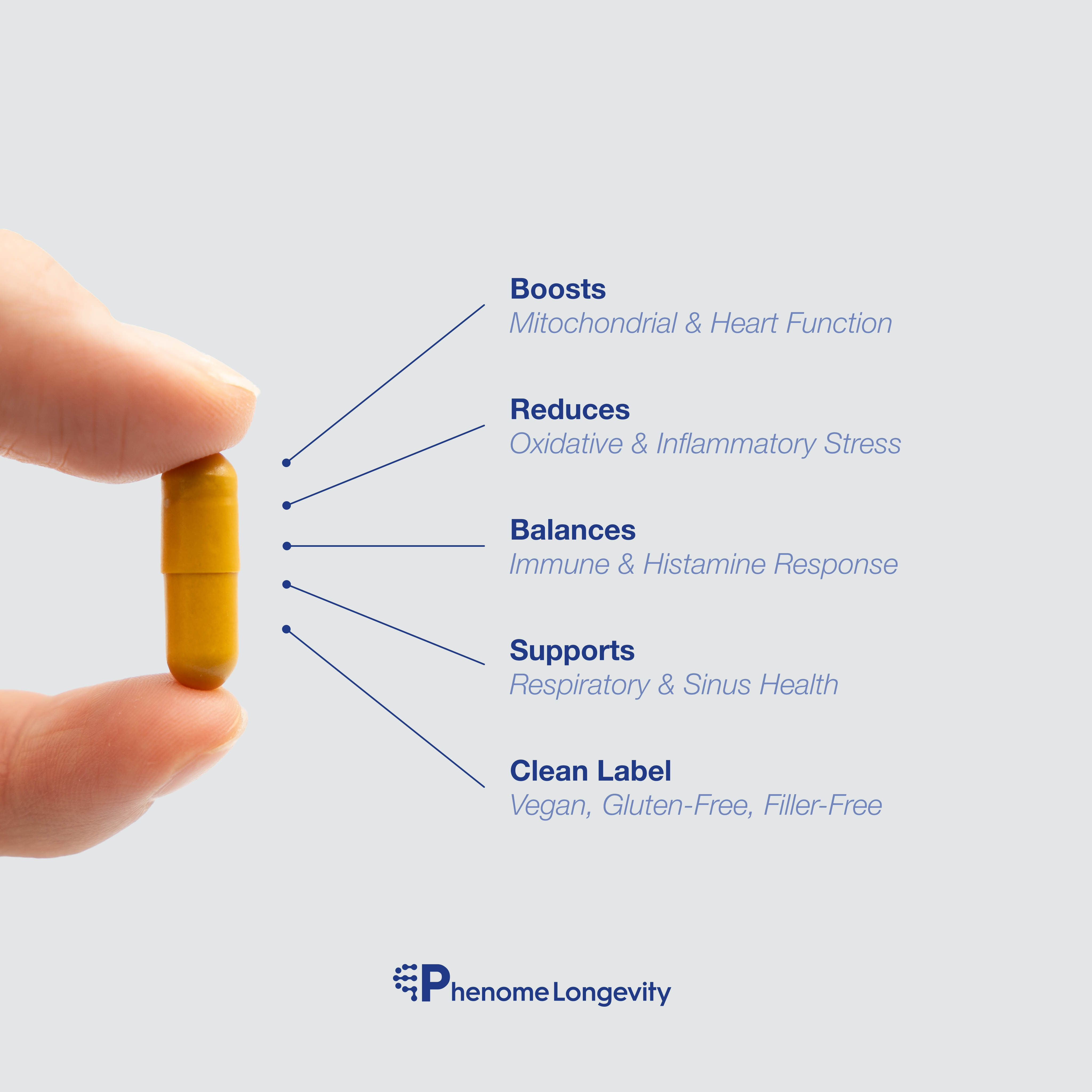 Product description of quercetin supplement