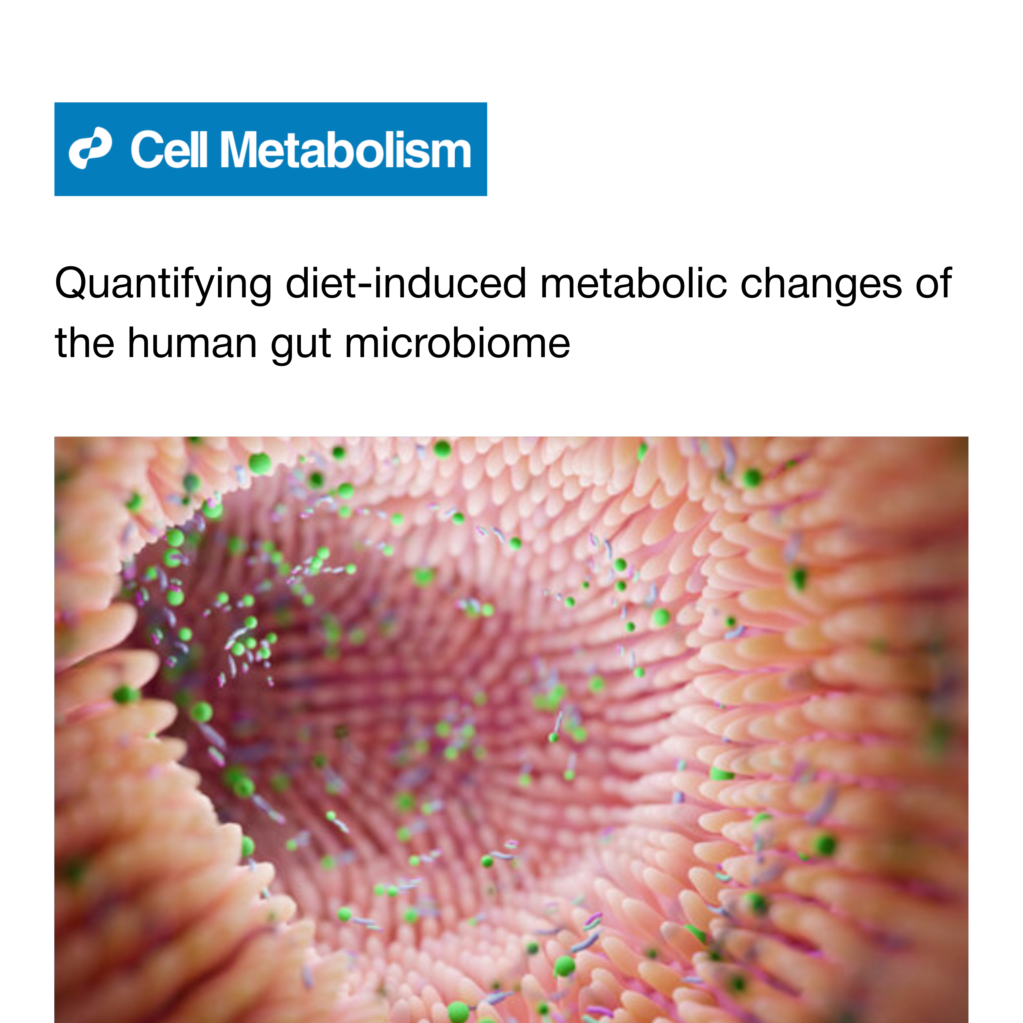 Quantifying diet-induced metabolic changes of the human gut microbiome
