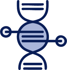 Icon of a blue DNA double helix on a white background