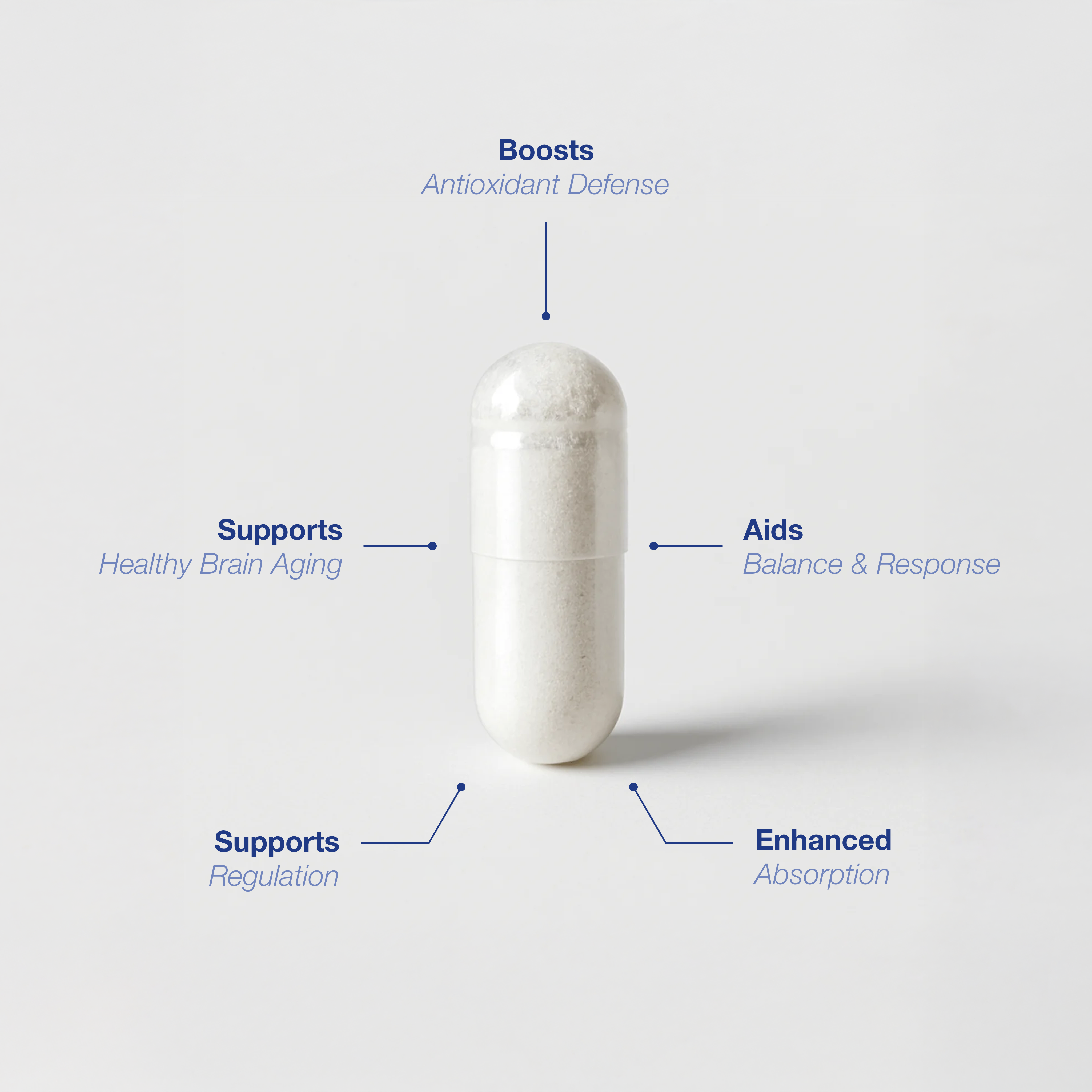 Product description of Ser-nac supplement