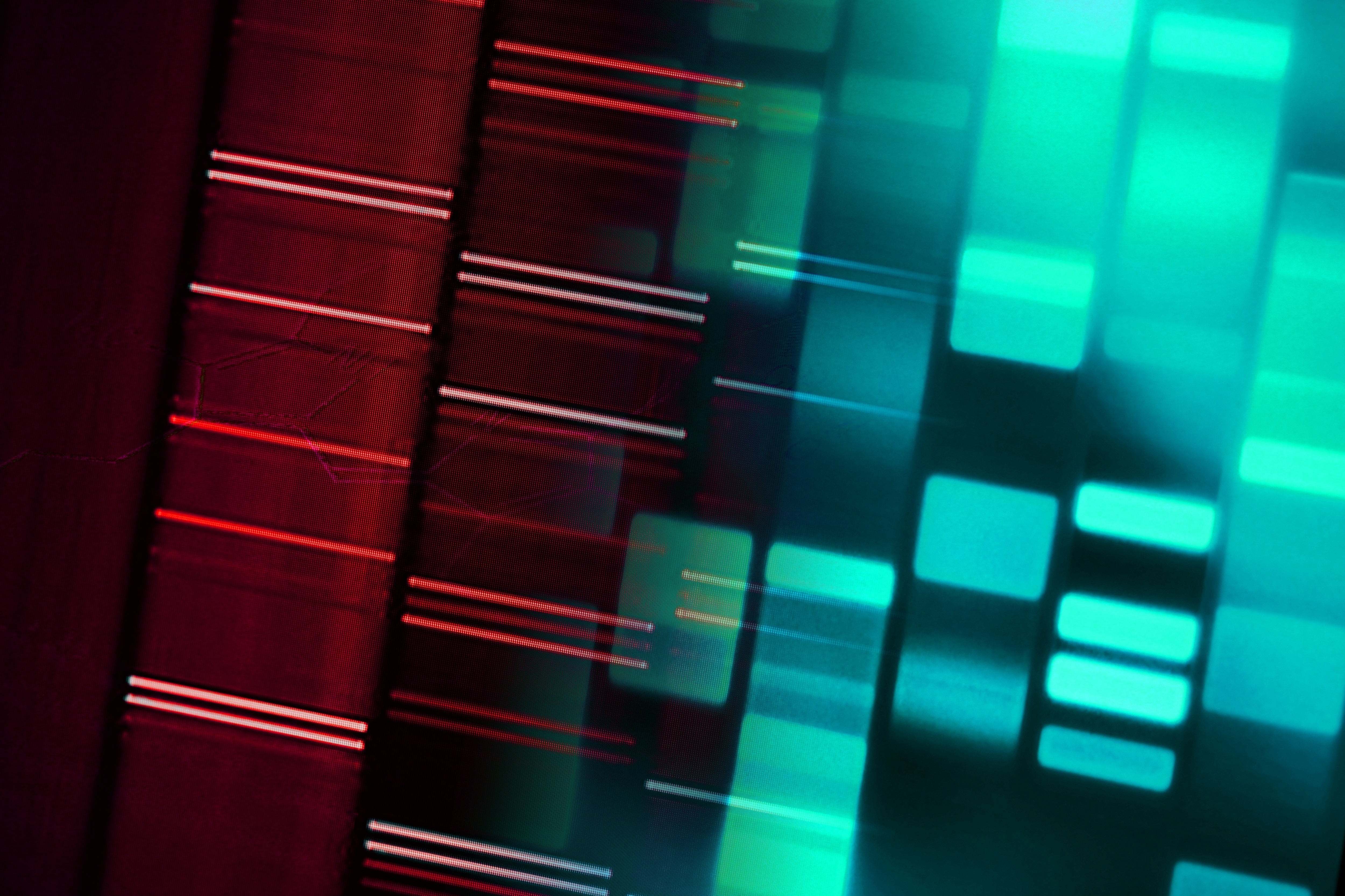 Abstract pattern of red and green vertical bars representing genetic information on a dark background