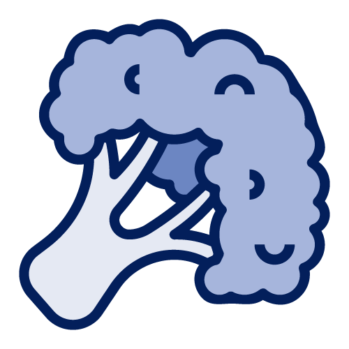 Icon of a broccoli
