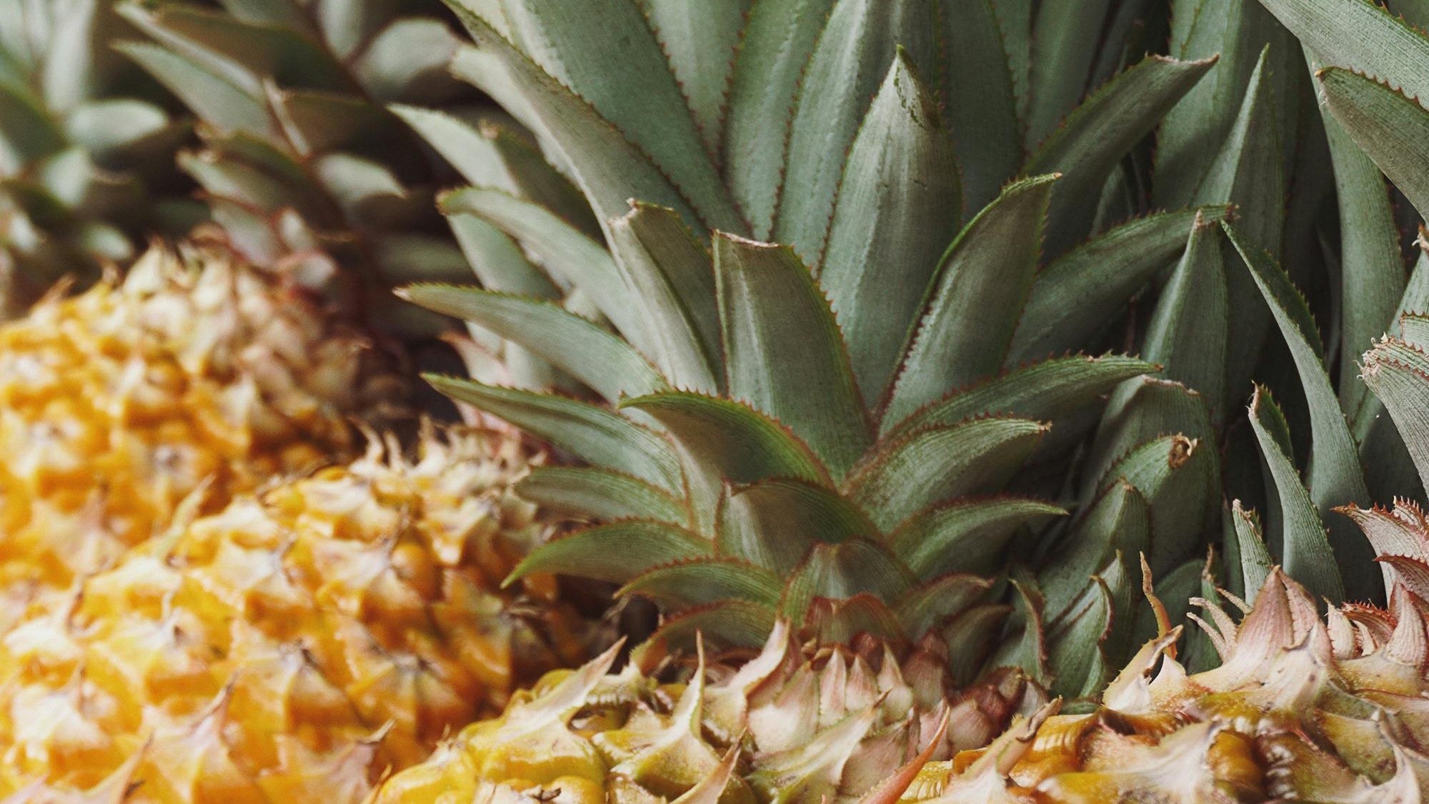 images of a ripe yellow pineapple focusing on the stem part