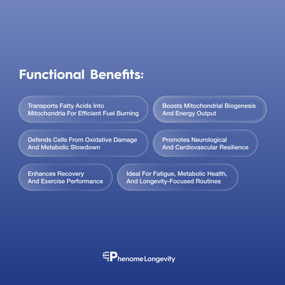 Functional benefits of Carnitine supplement 