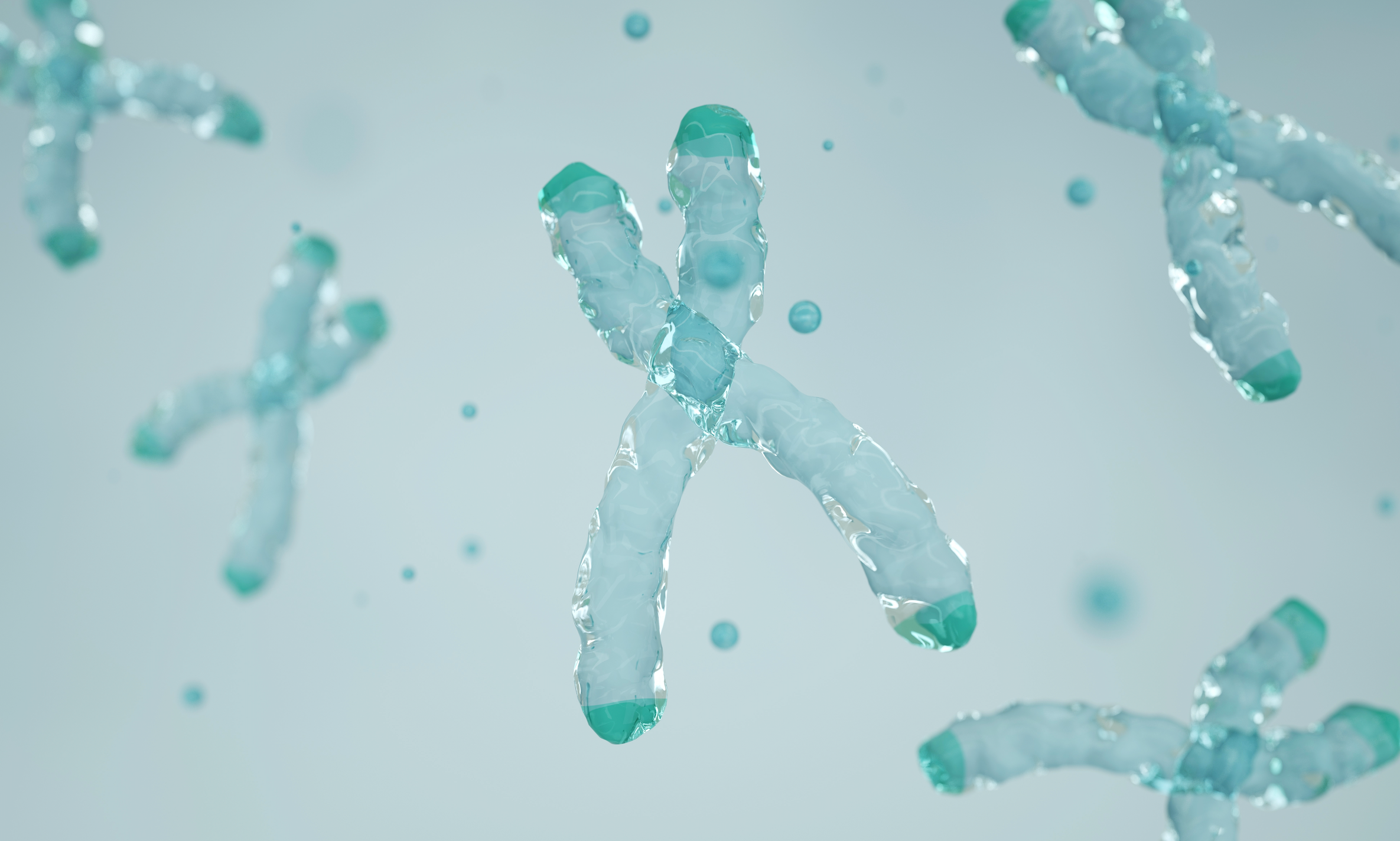 Chromosome depicted with a fluid, liquid-glass texture and translucent details