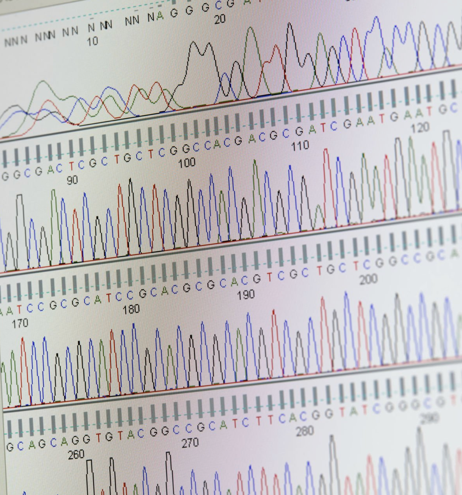 DNA sequencing image showing genetic code analysis
