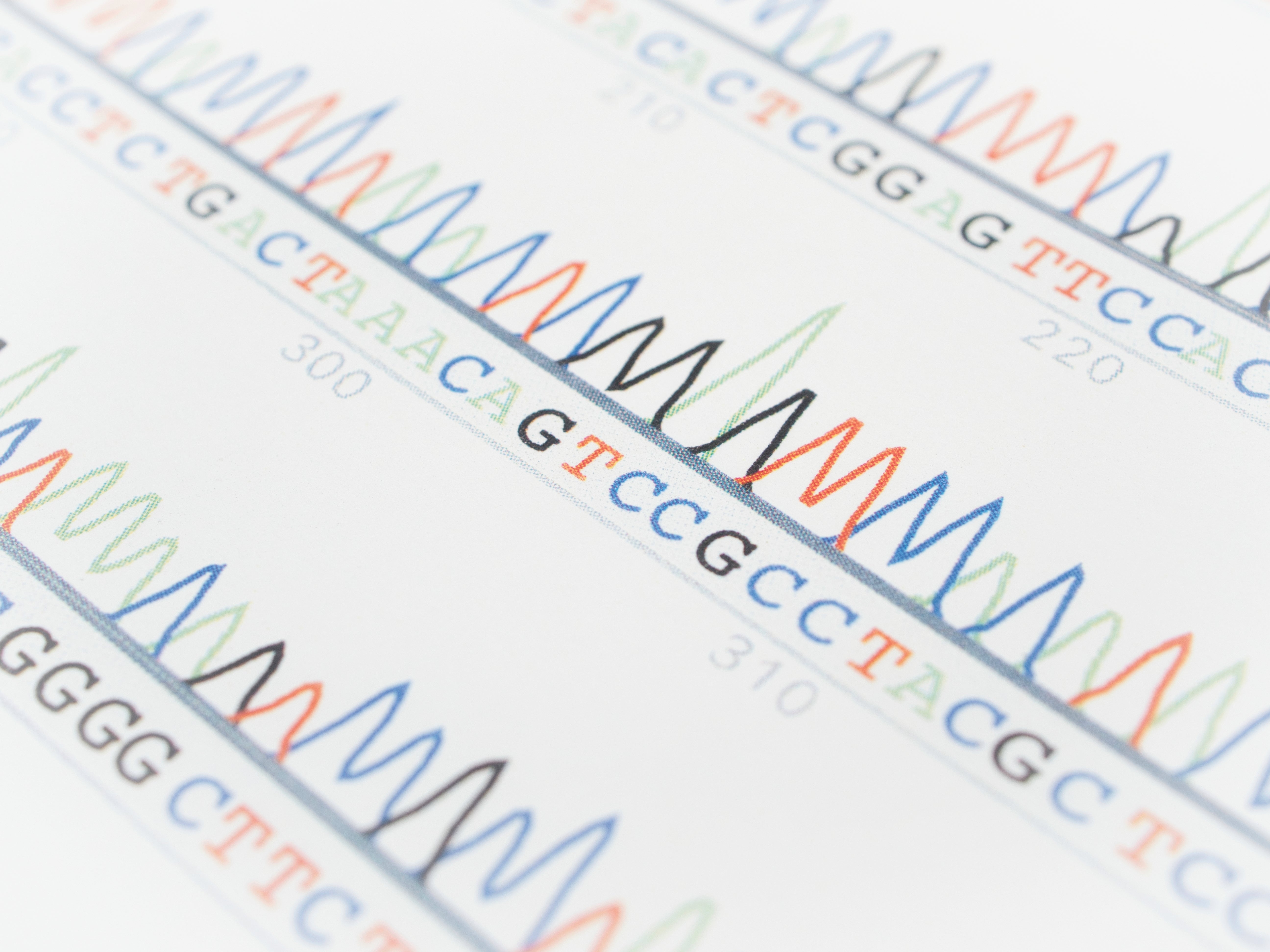 DNA sequencing image showing genetic code analysis