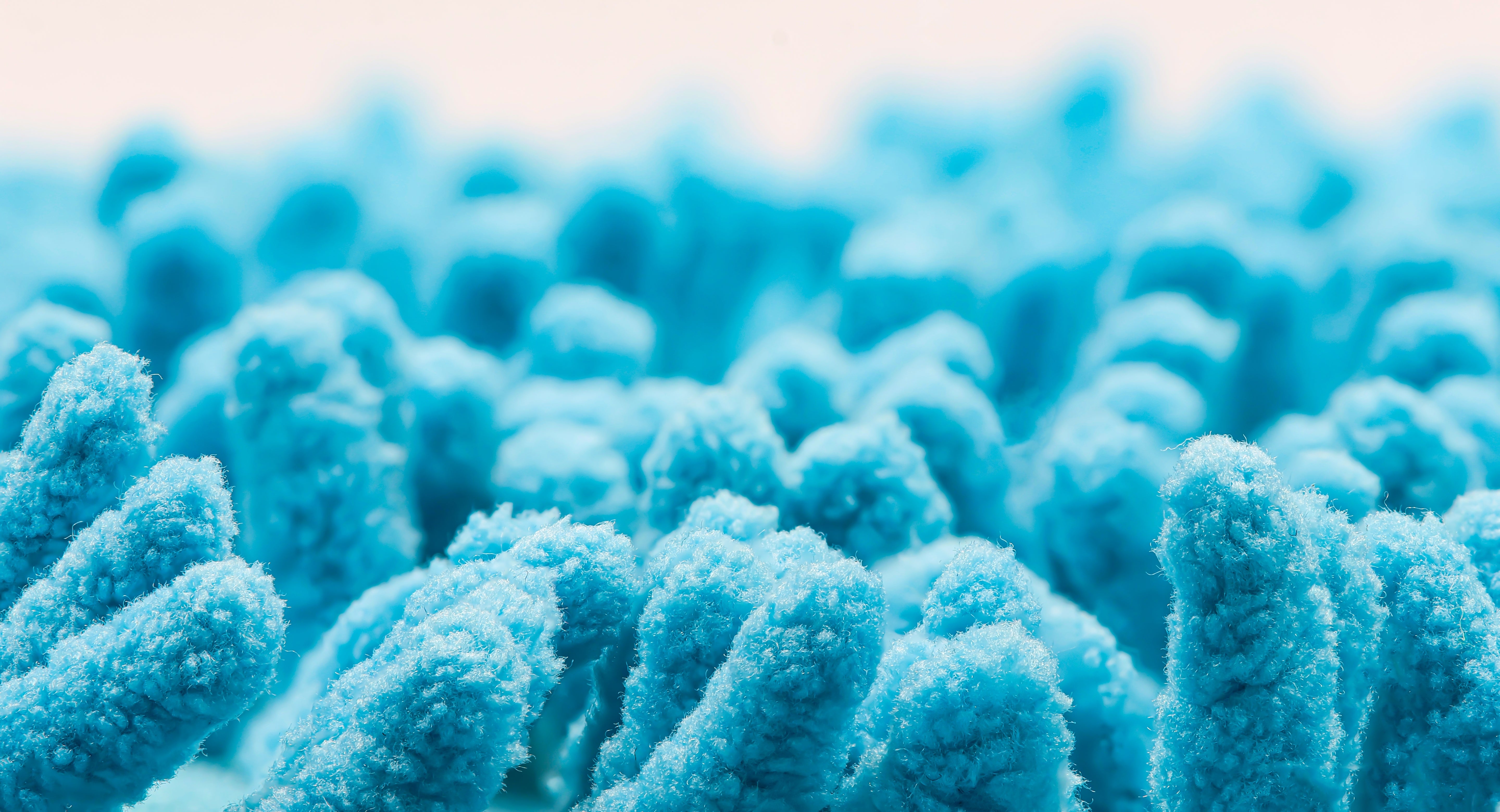 Micrograph of intestinal epithelial tissue highlighting villi structures and cellular surface texture