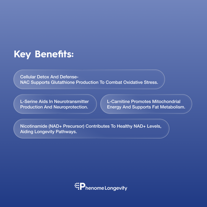 Key benefits of Mitochondria supplement 