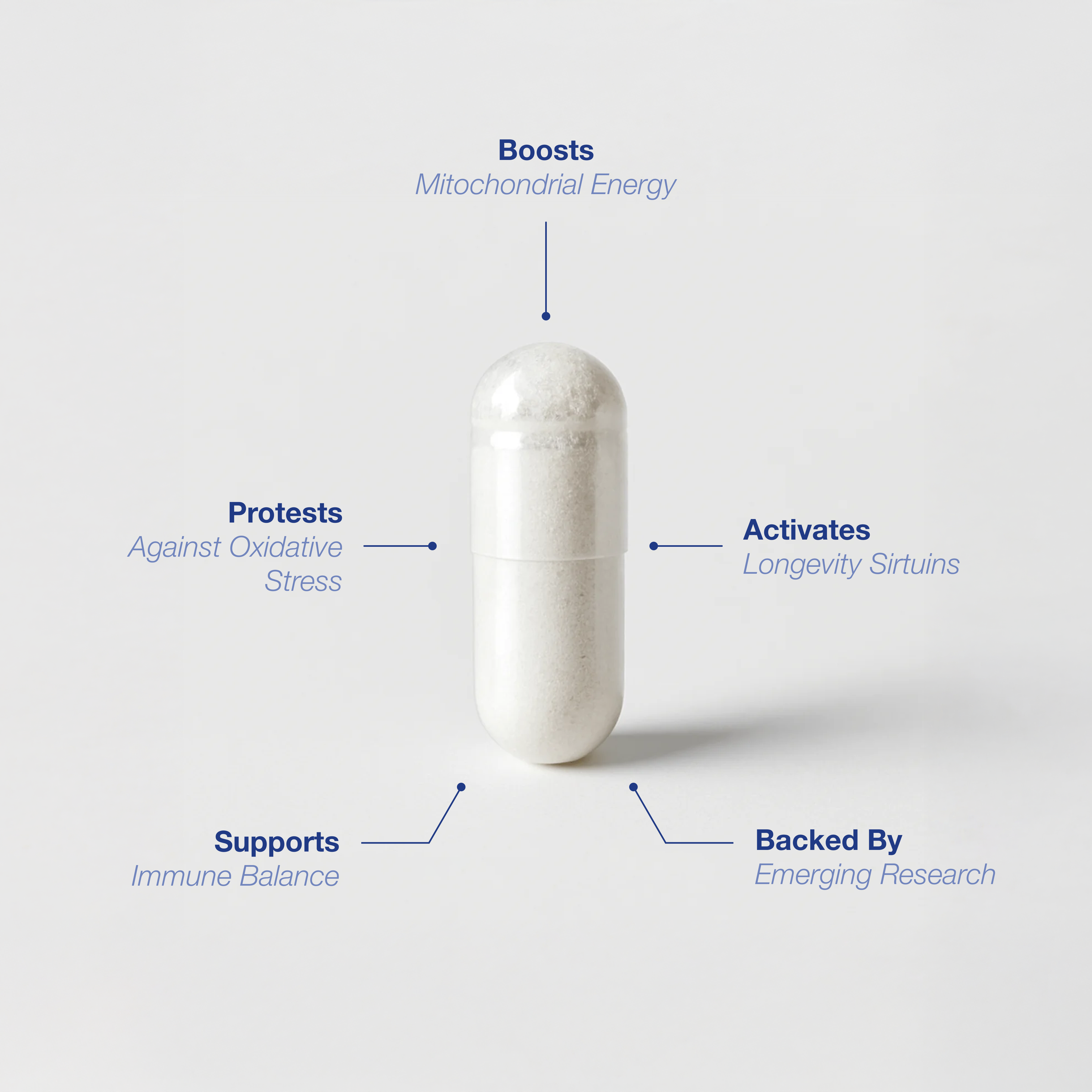 Product description of NAD Resveratrol supplement 