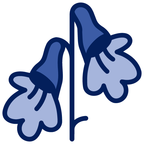icon of pelargonium flower plant